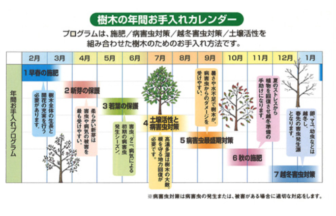 樹木の年間お手入れカレンダー