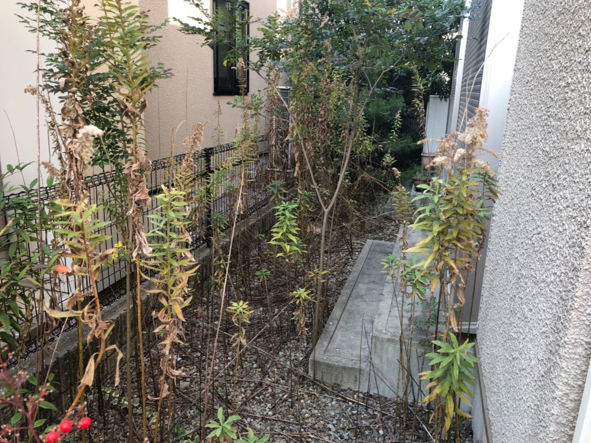 仕事 の 後 は 仕事 だ ぜ