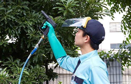樹木の年間お手入れ